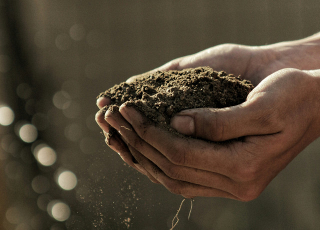 soil held in a pair of hands